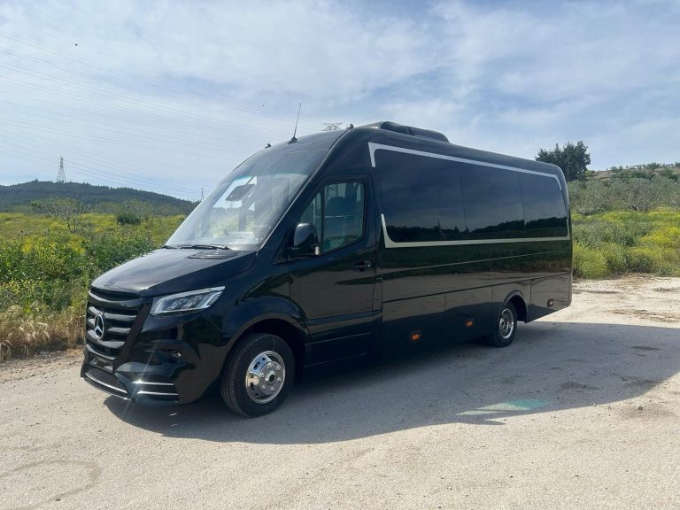 Airport Malaga Minibus
